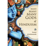 Many Many Many Gods of Hinduism: Turning believers into non-believers and non-believers into believers