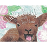 Little Buddy, the Lamb with Two Moms
