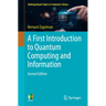 A First Introduction to Quantum Computing and Information