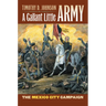 A Gallant Little Army: The Mexico City Campaign