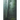 Talking to Trees: A Journey into Soul