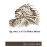 Agriculture of the Hidatas Indians