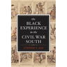 The Black Experience in the Civil War South