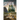 Seven Trees