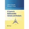 A Course in Multivariable Calculus and Analysis