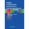 Imaging of Inflammation and Infection in Cardiovascular Diseases
