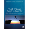 Youth Without Family to Lean on: Global Challenges and Local Interventions