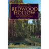 Through the Redwood Hollow