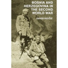 Bosnia and Herzegovina in the Second World War