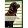 Kodiak ... A Chocolate Labrador Retriever and my best friend