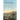A Field of First Things