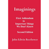 Imaginings: First Addendum to Important Things We Don't Know