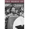 Words of Cesar Chavez