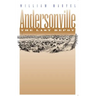 Andersonville: The Last Depot
