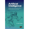 Artificial Intelligence: Ethical, social, and security impacts for the present and the future