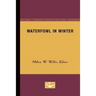 Waterfowl in Winter