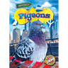 Pigeons