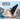 Humpback Whales: A Migration Story