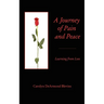A Journey of Peace and Pain: Learning from Loss
