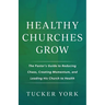 Healthy Churches Grow: The Pastor's Guide to Reducing Chaos, Creating Momentum, and Leading His Church to Health