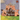 The Past Pizza Parlor
