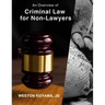 An Overview of Criminal Law for Non-Lawyers