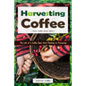 Harvesting Coffee: The Life of a Coffee Bean from Planting to Processing