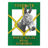 Yosemite: Where Mules Wear Diamonds