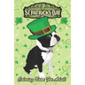 St Patricks Day Coloring Book For Adult: Irish Leprechaun Hat Boston Terrier An Adult Coloring Books St Patrick for Kids, Adults with Beautiful Irish