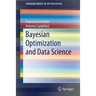 Bayesian Optimization and Data Science