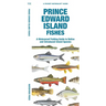 Prince Edward Island Fishes: A Folding Guide to Native and Introduced Inland Species