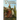 Champion of Valdeor