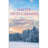 Celebrating Abundance: Devotions for Advent