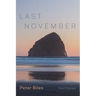 Last November: Short Stories