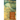 Letters of Old Age (Rerum Senilium Libri) Volume 2, Books X-XVIII