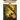 Lost!