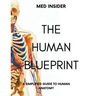 The Human Blueprint