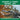Swamps & Ponds Animal Life: 2nd Grade Geography Workbook Series