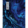 South Carolina Review:: 52.1