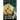 Memory of Olympus