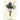 She-The Sultana