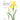 Kew Book of Botanical Illustration