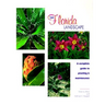 Your Florida Landscape: A Complete Guide to Planting and Maintenance