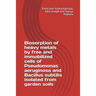 Biosorption of heavy metals by free and immobilized cells of Pseudomonas aeruginosa and Bacillus subtilis isolated from garden soils