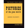 Pictures of the Gone World