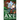Kiss My Axe: Alternate Edition