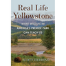 Real Life Yellowstone: What Wildlife in America's Premier Park Can Teach Us