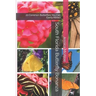 South Florida Butterfly Bonanza: 20 Common Butterflies You Can Easily Attract