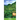 Azores