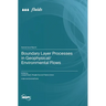 Boundary Layer Processes in Geophysical/Environmental Flows